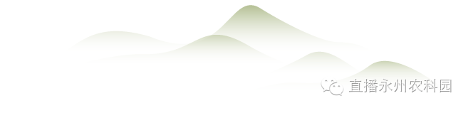 http://www.9881666.com/upfiles/article/20170223124847174717.png